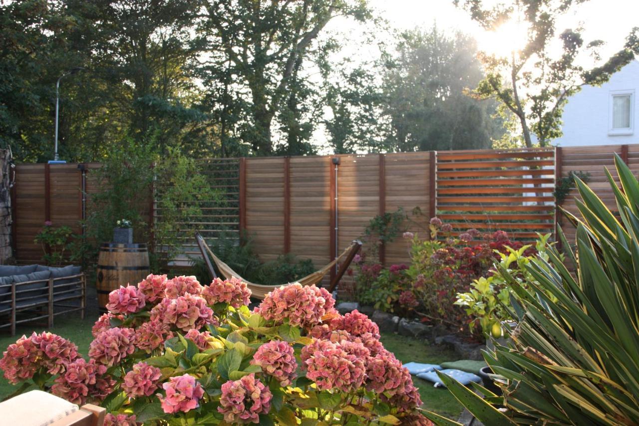 Maison Bellefleur B&B - Pension Renesse Eksteriør billede
