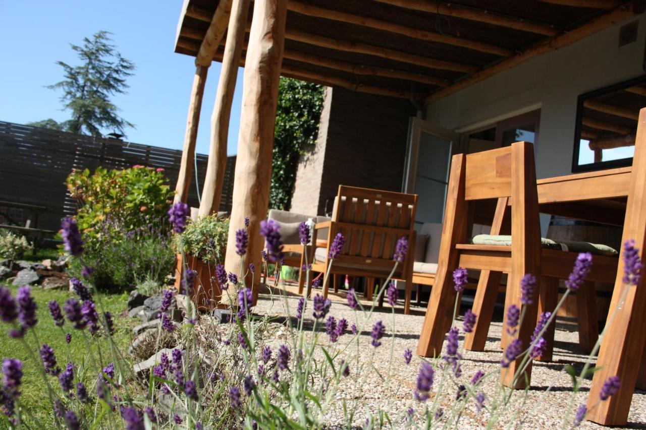 Maison Bellefleur B&B - Pension Renesse Eksteriør billede